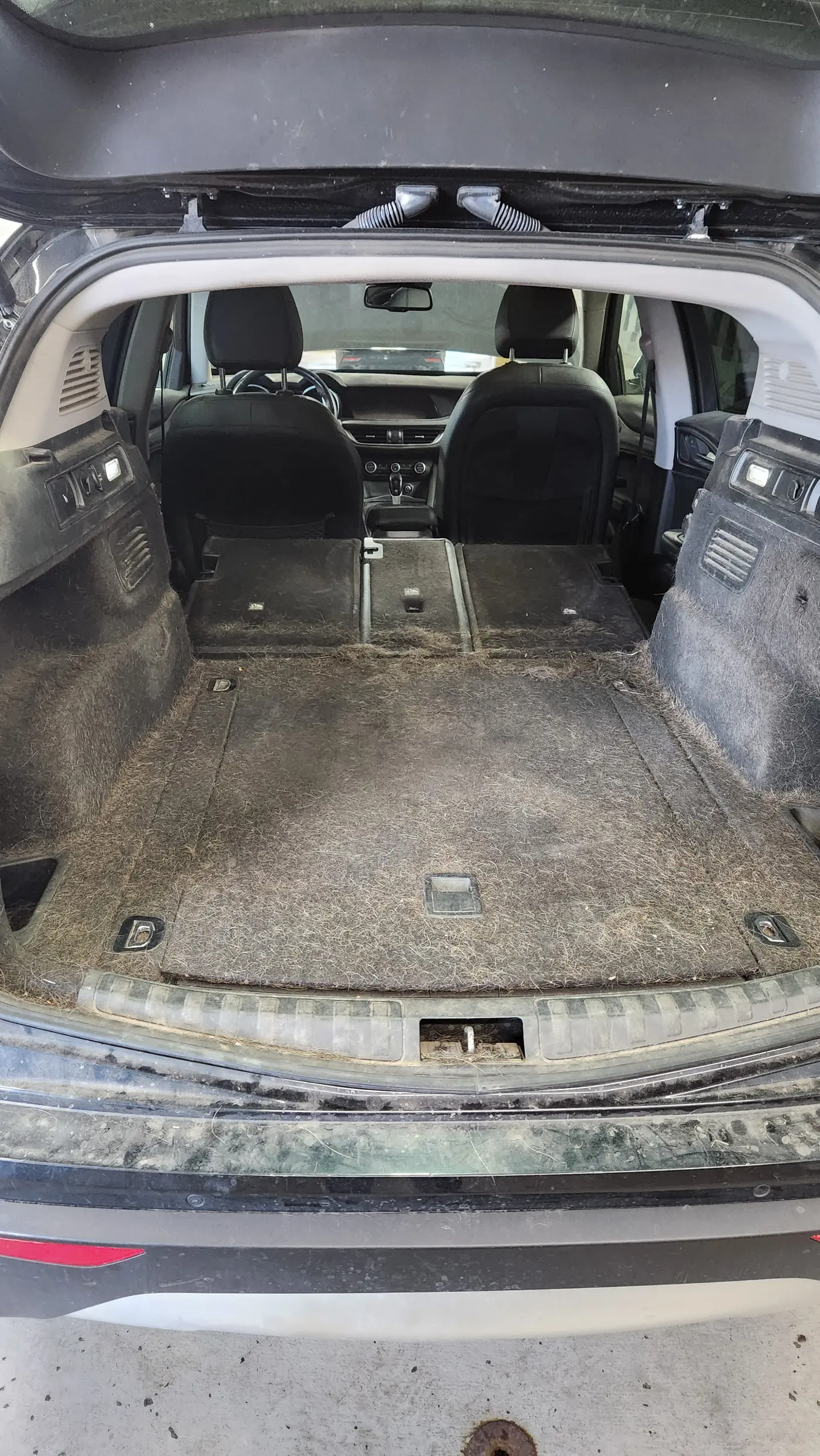 Disaster detail before - heavily soiled trunk