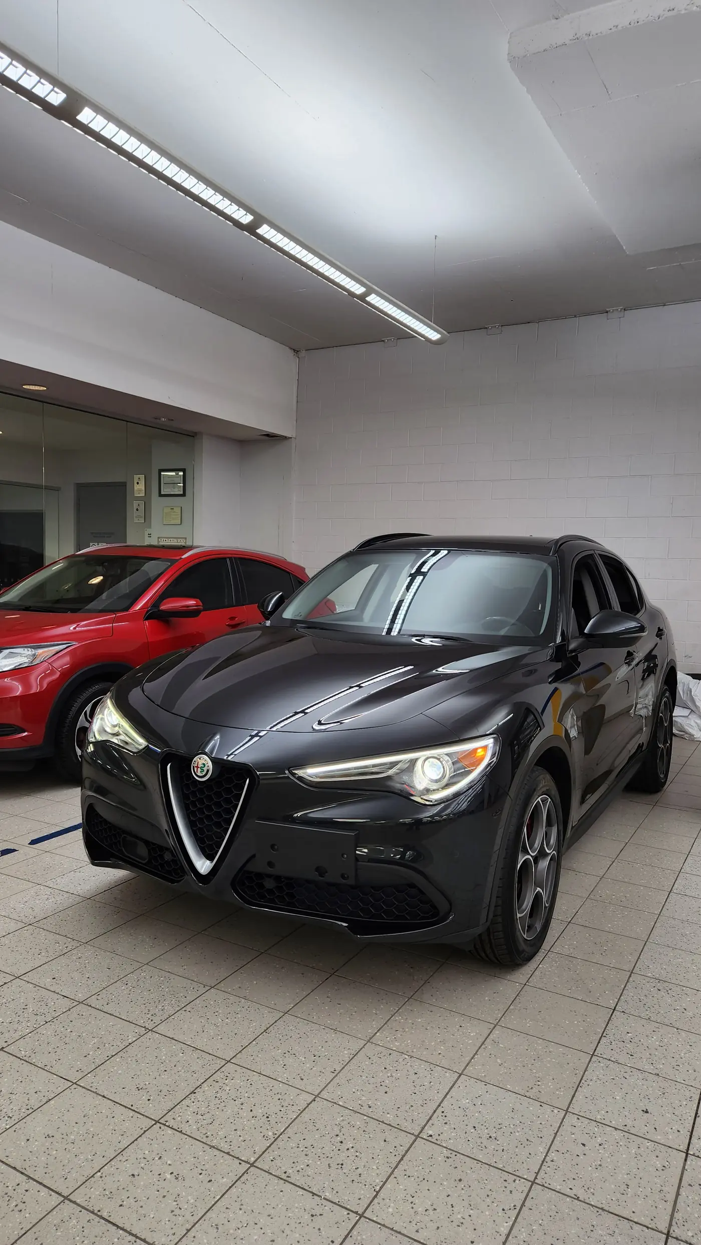 Alfa Romeo Stelvio - Disaster Detail
