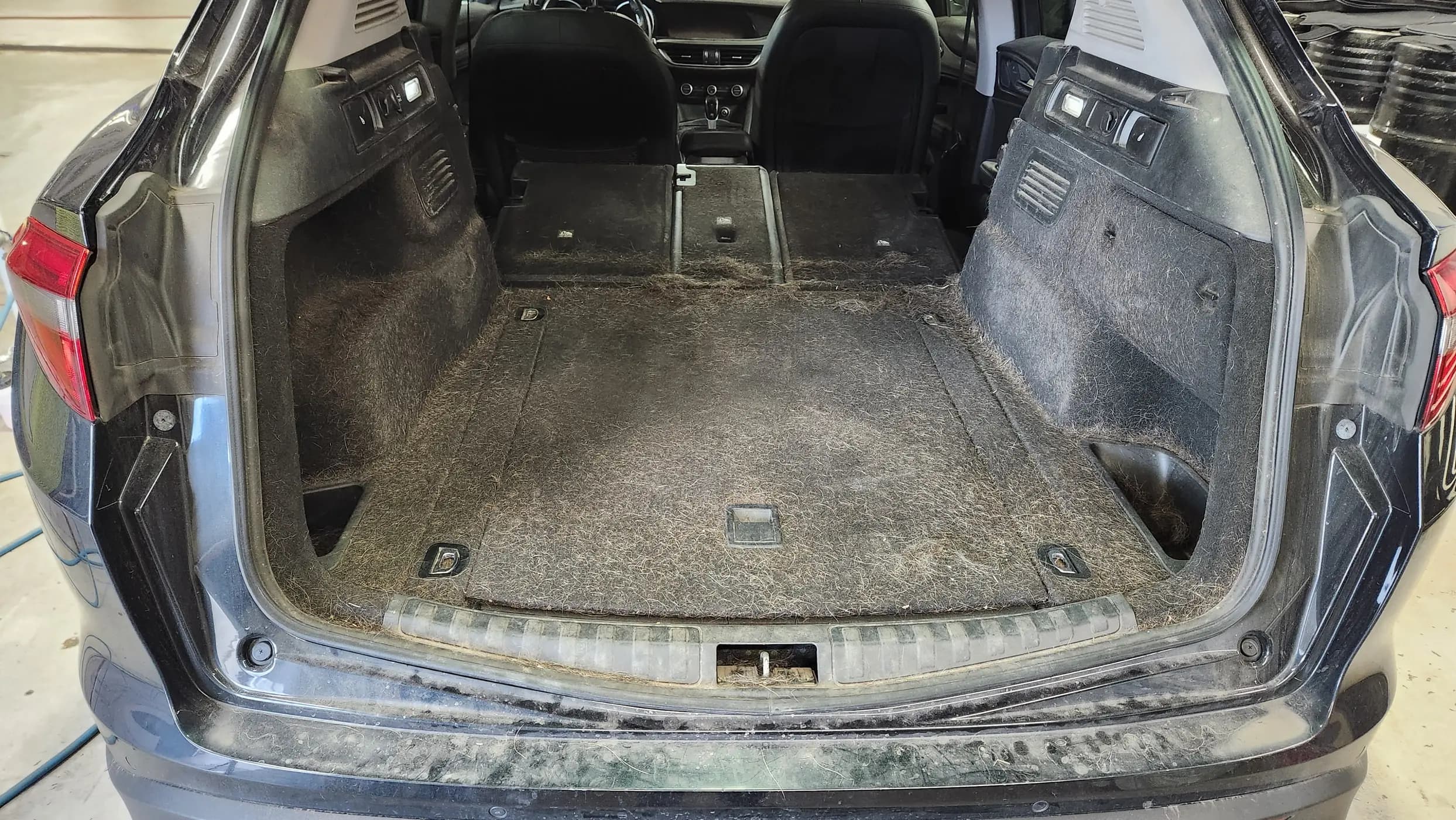 Trunk area covered in pet hair and debris
